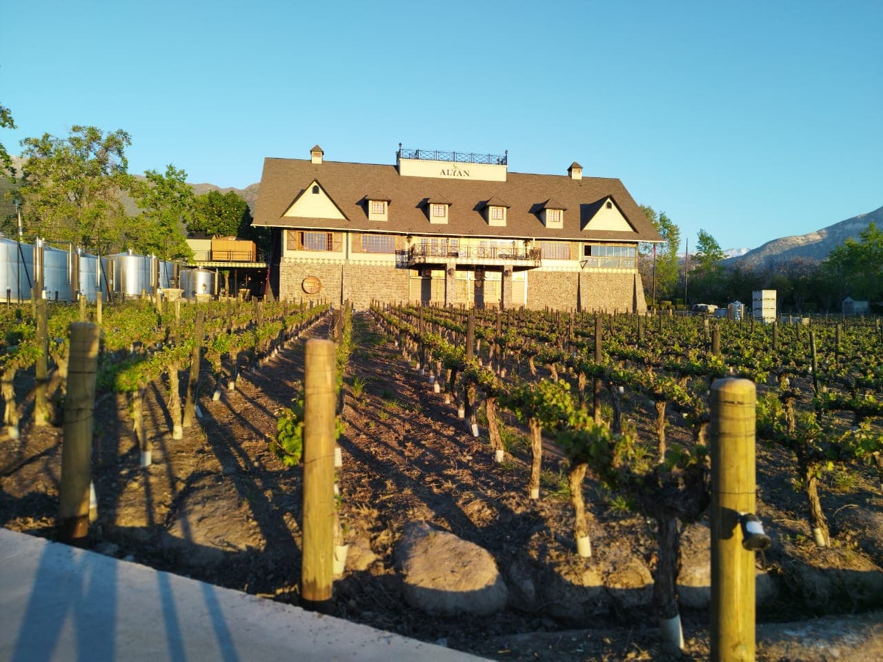 Vinícolas del Valle Central